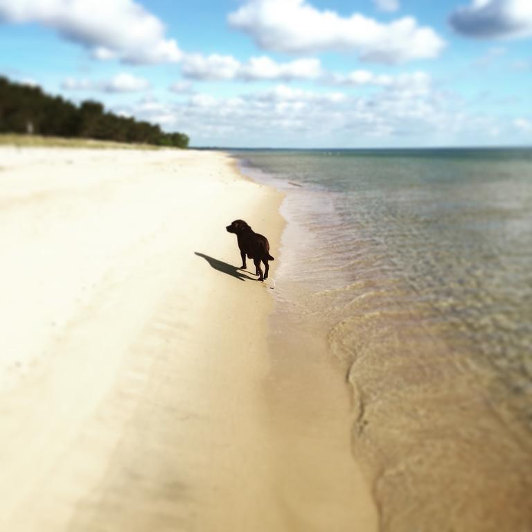 Kivikstrand Badhotell エクステリア 写真